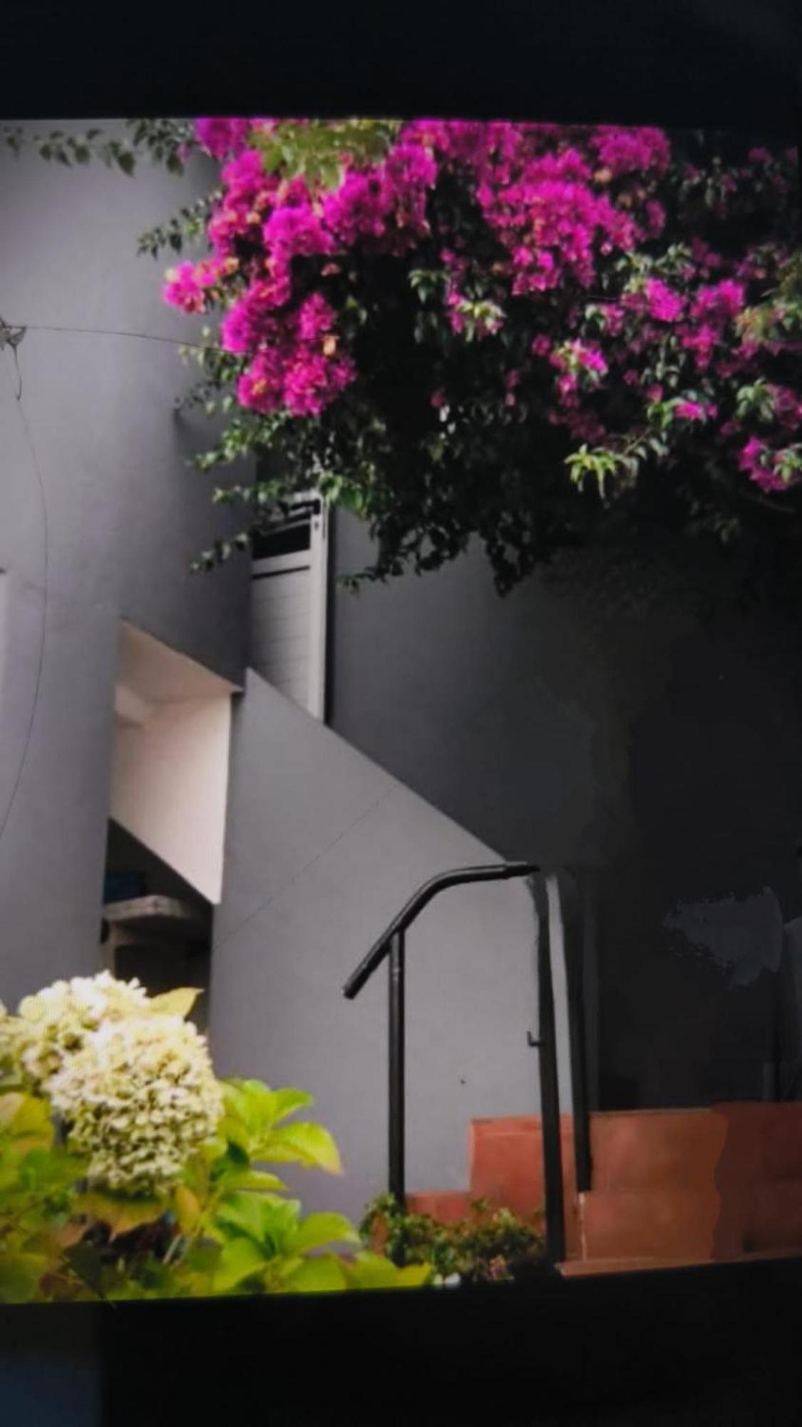 Casa Boa Vista Villa Palmeira Dış mekan fotoğraf